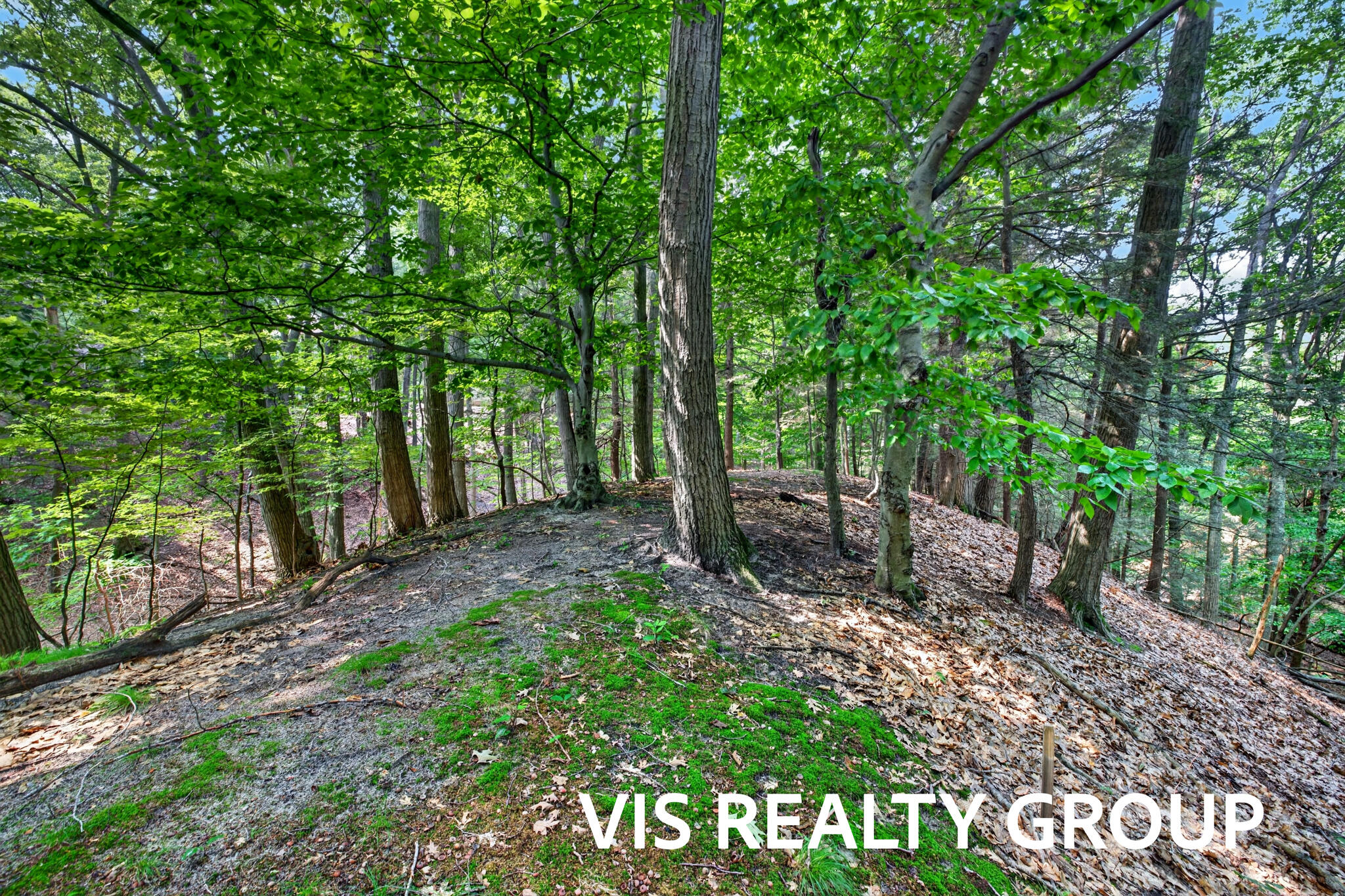 18221 Holcomb Hills Road Grand Haven MI 49417