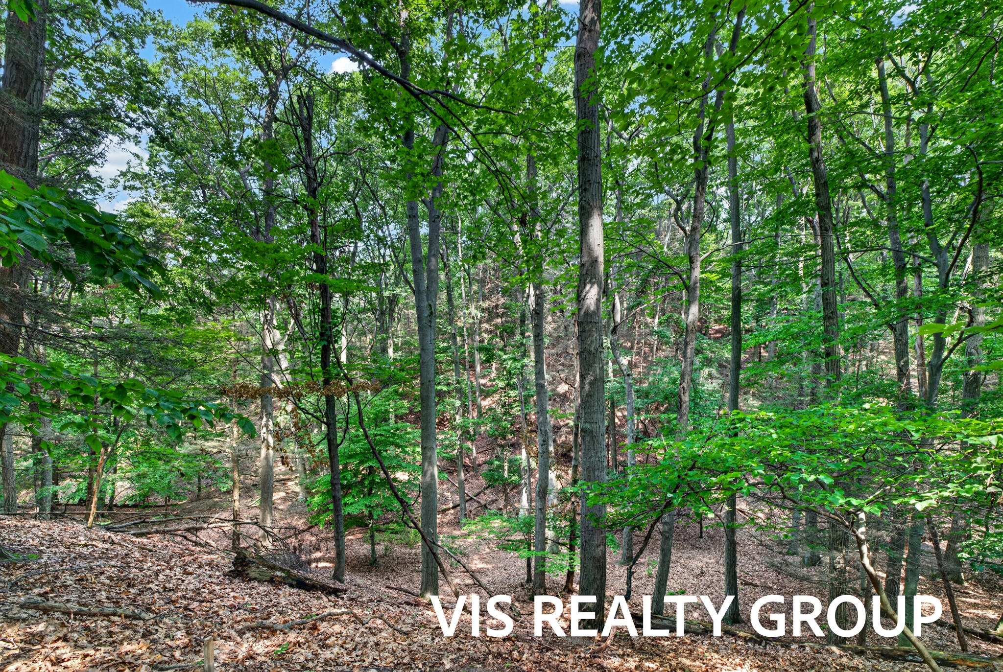 18221 Holcomb Hills Road Grand Haven MI 49417
