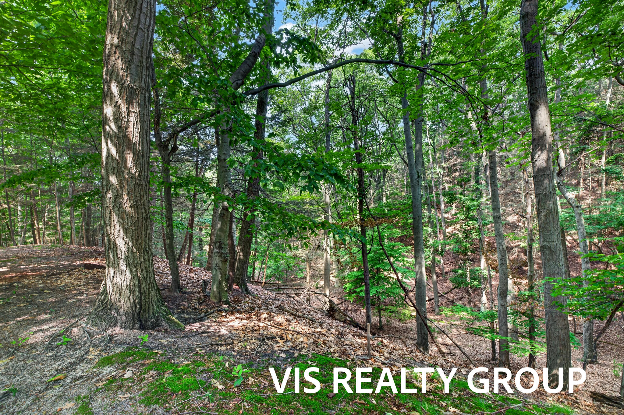 18221 Holcomb Hills Road Grand Haven MI 49417