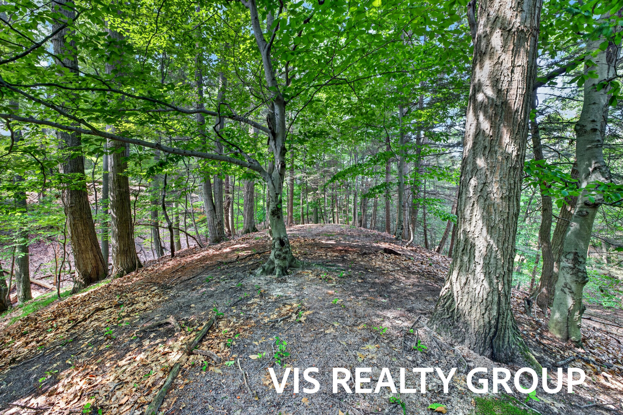 18221 Holcomb Hills Road Grand Haven MI 49417