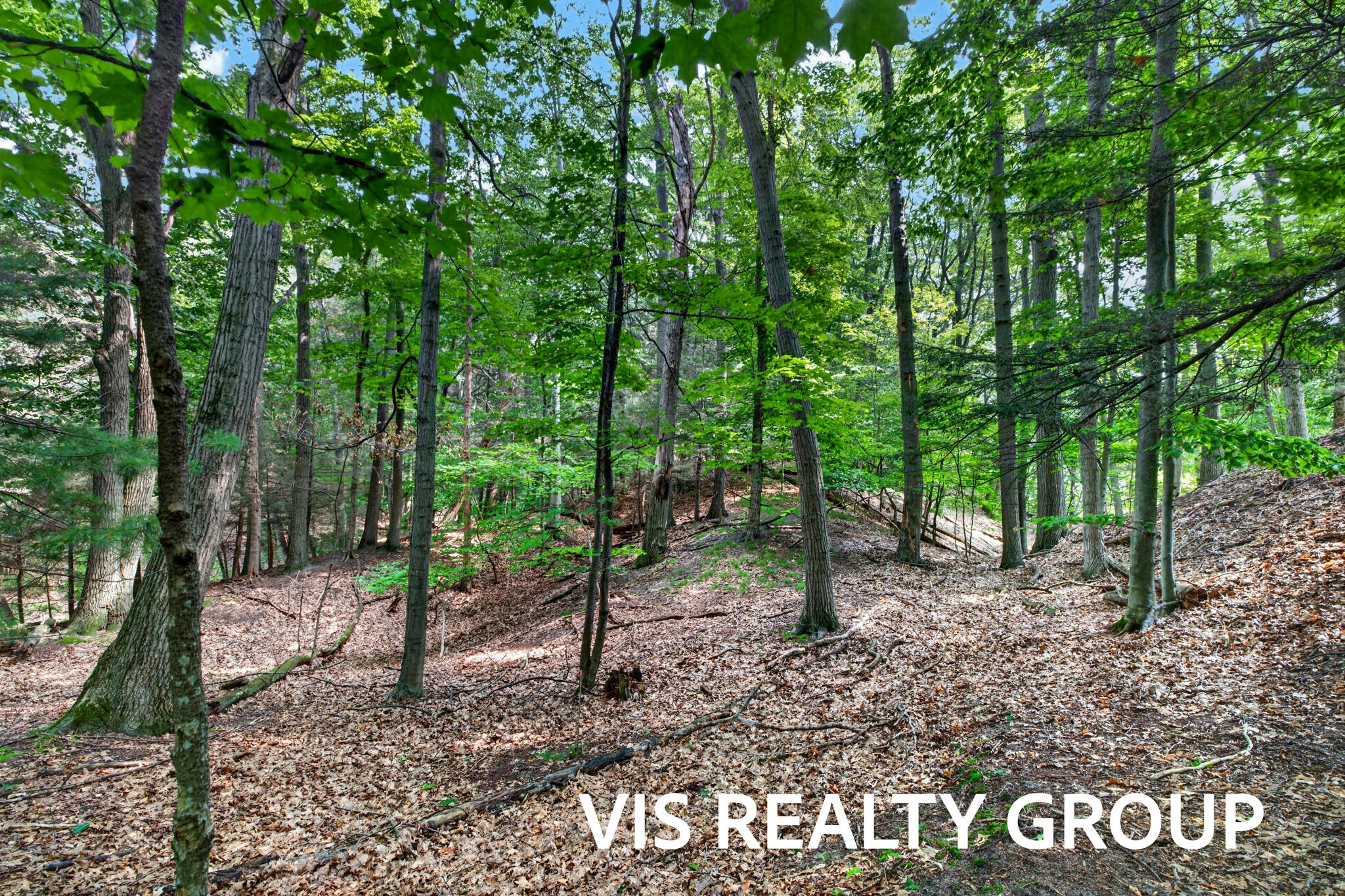 18221 Holcomb Hills Road Grand Haven MI 49417