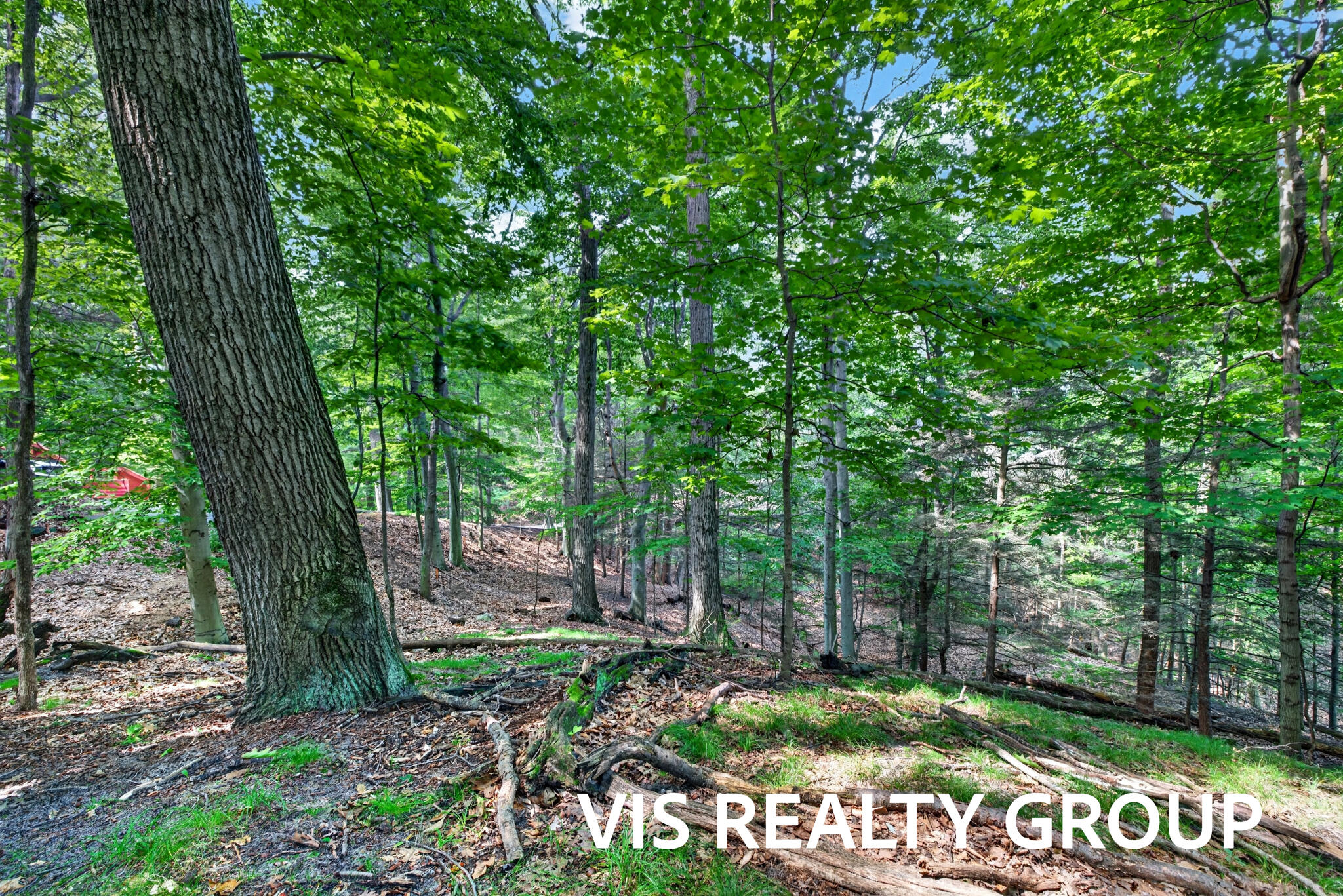 18221 Holcomb Hills Road Grand Haven MI 49417
