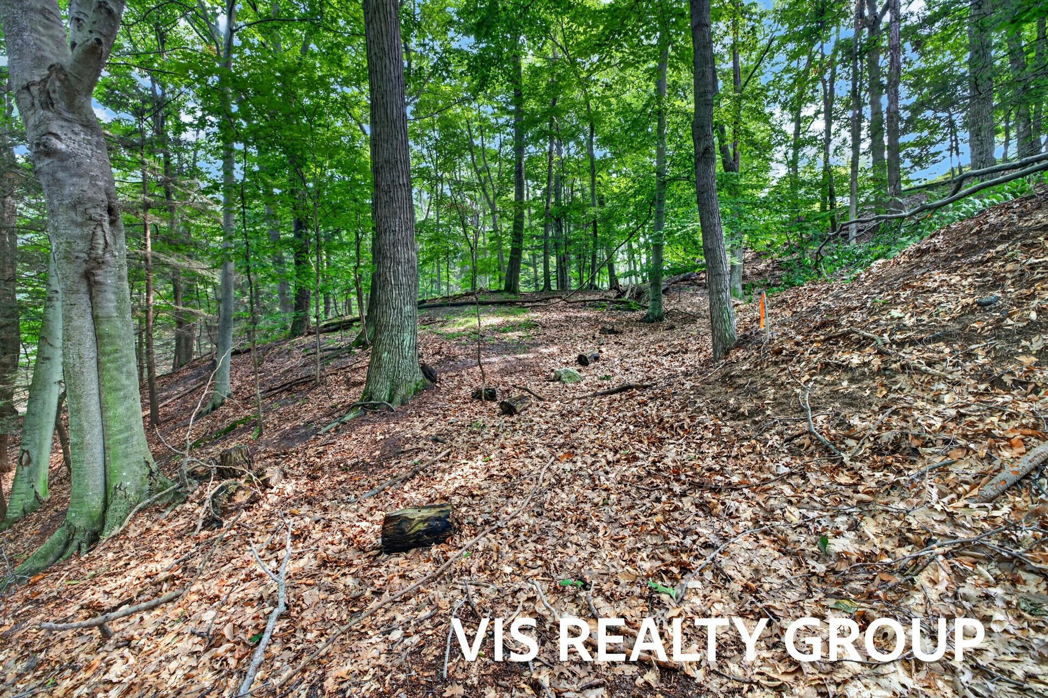 18221 Holcomb Hills Road Grand Haven MI 49417
