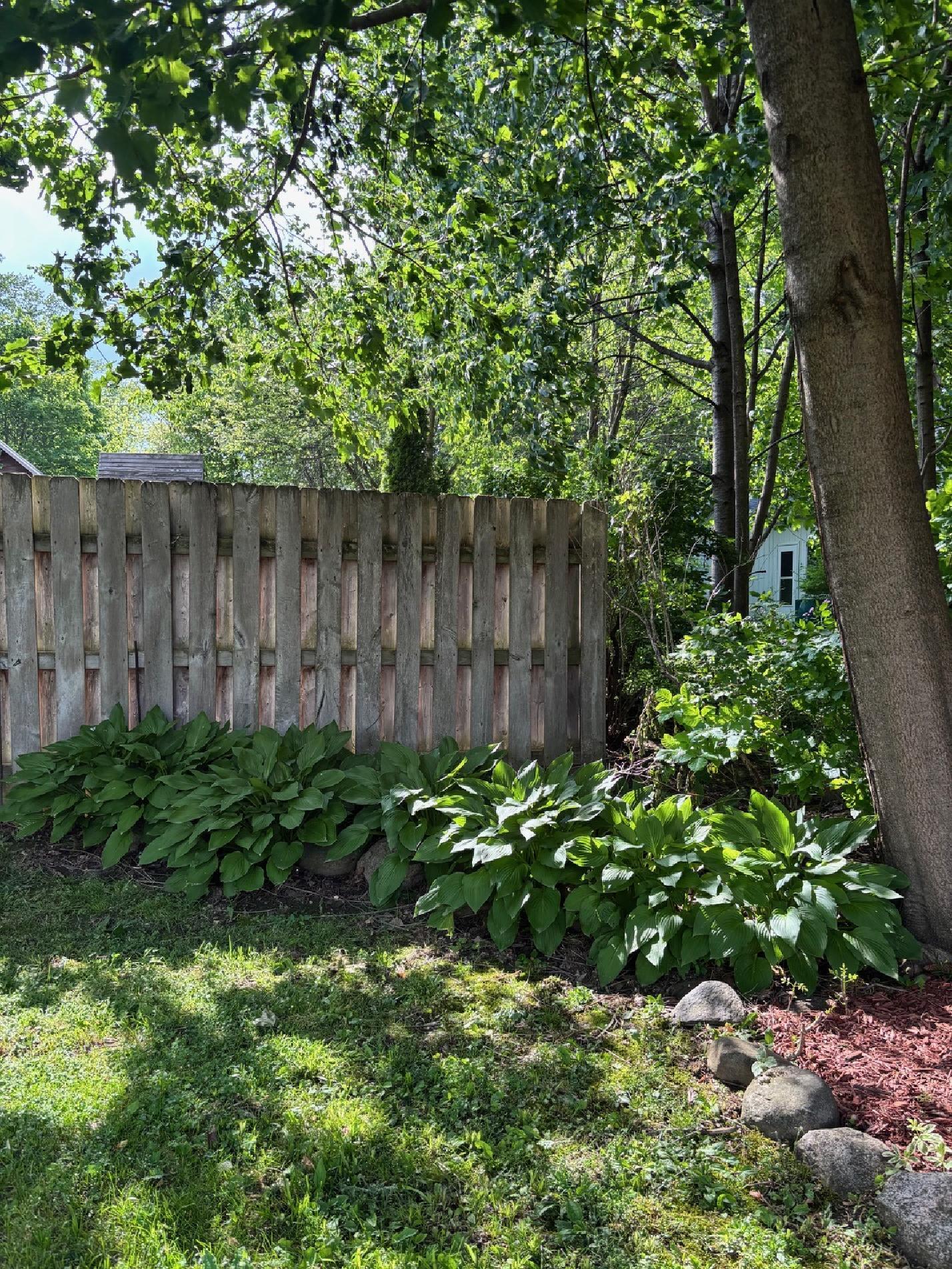 404 Cedar Street Three Oaks MI 49128