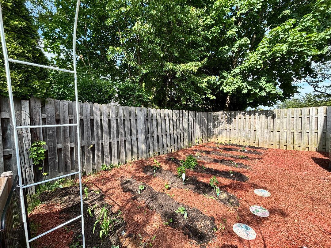 404 Cedar Street Three Oaks MI 49128