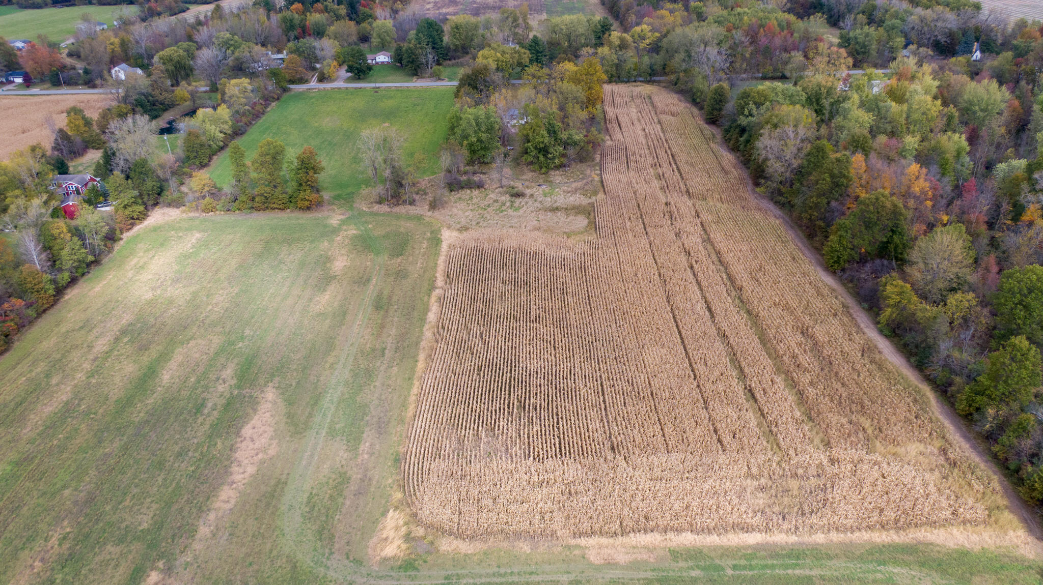 9936 E Wilson Road New Buffalo MI 49117