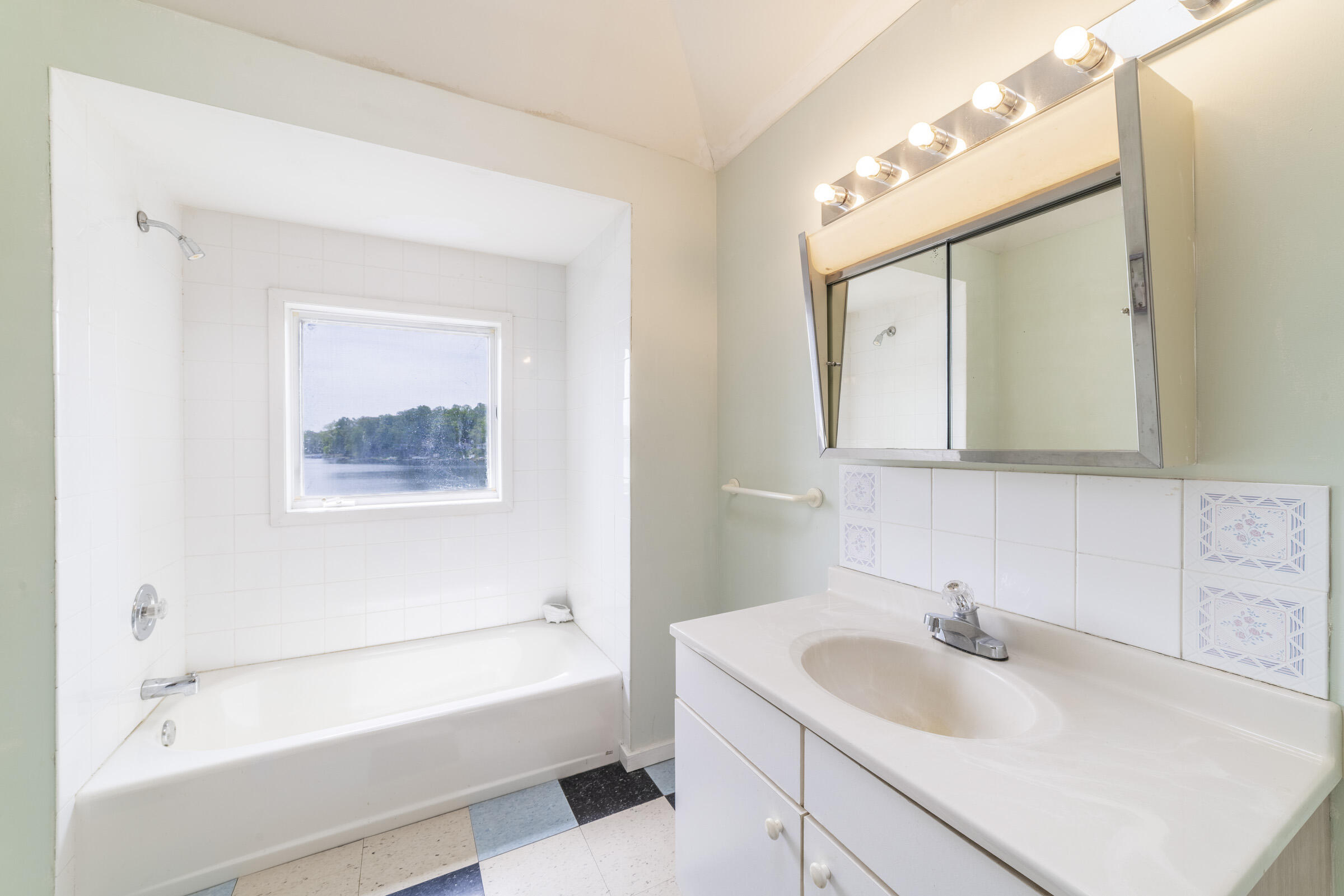 15657 Lakeview Drive Buchanan MI 49107
