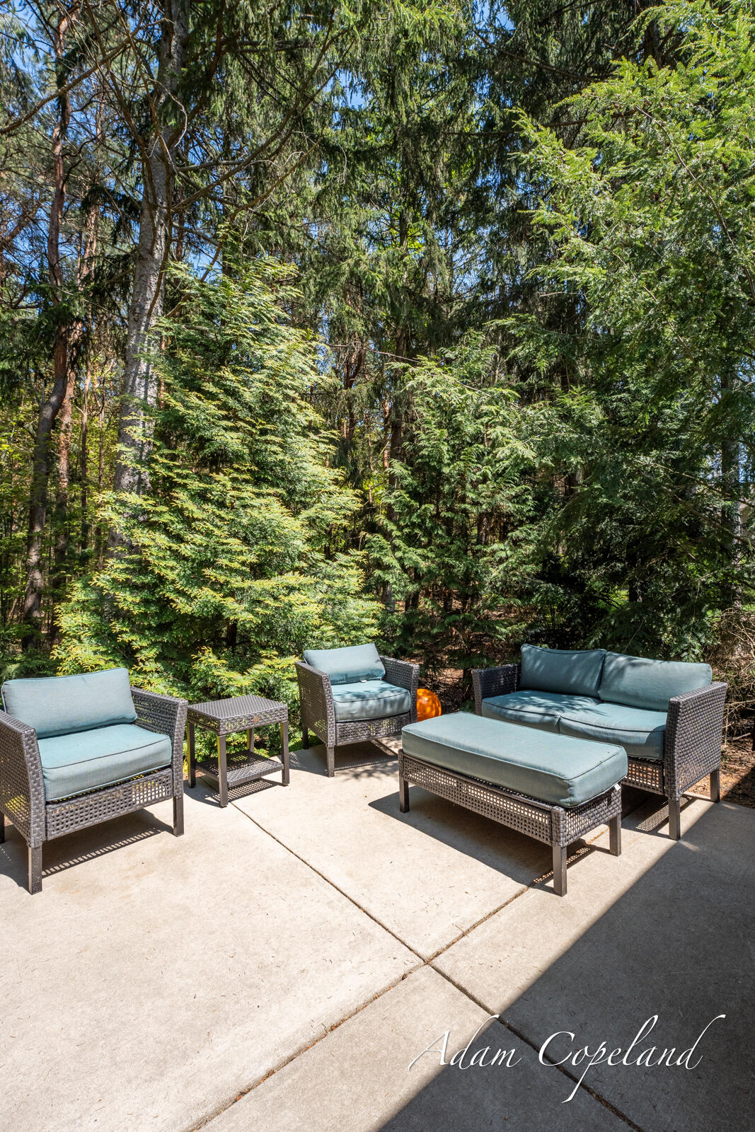 6563 Sanctuary Trail Saugatuck MI 49453