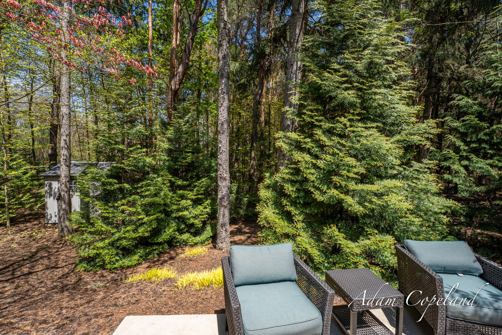 6563 Sanctuary Trail Saugatuck MI 49453