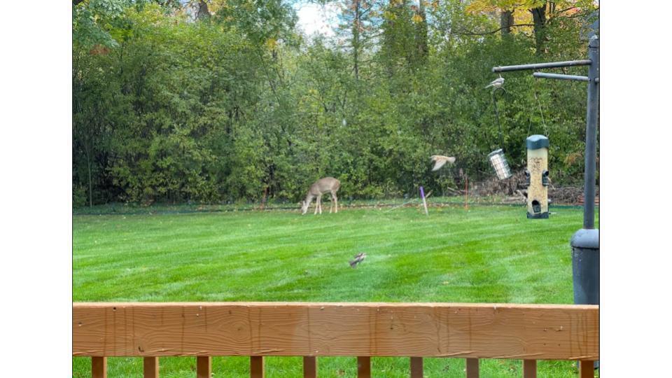 472 Ashton Court SE Grand Rapids MI 49546