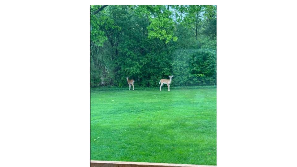 472 Ashton Court SE Grand Rapids MI 49546