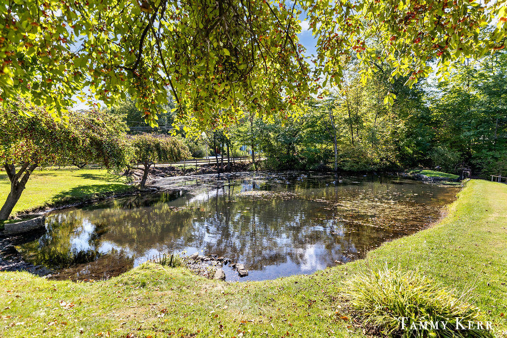 844 Holland Street Saugatuck MI 49453