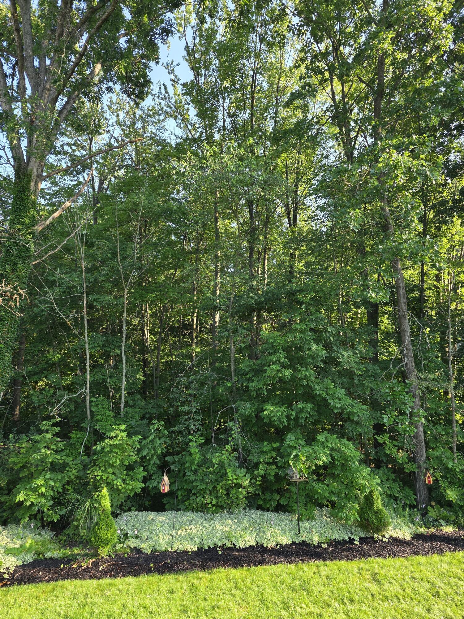 6494 Los Altos Drive NE Rockford MI 49341
