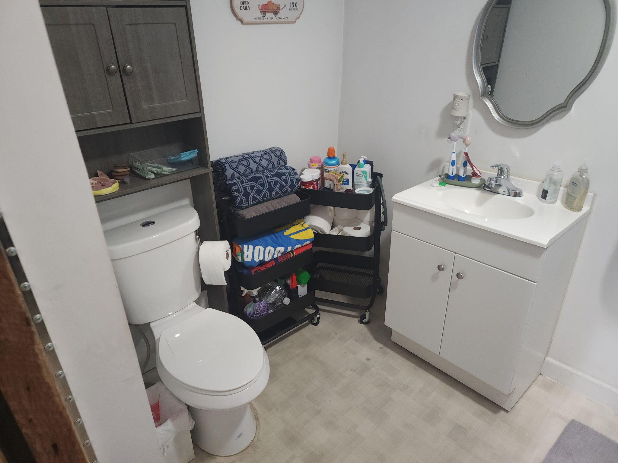 310 Lincoln Street Allegan MI 49010