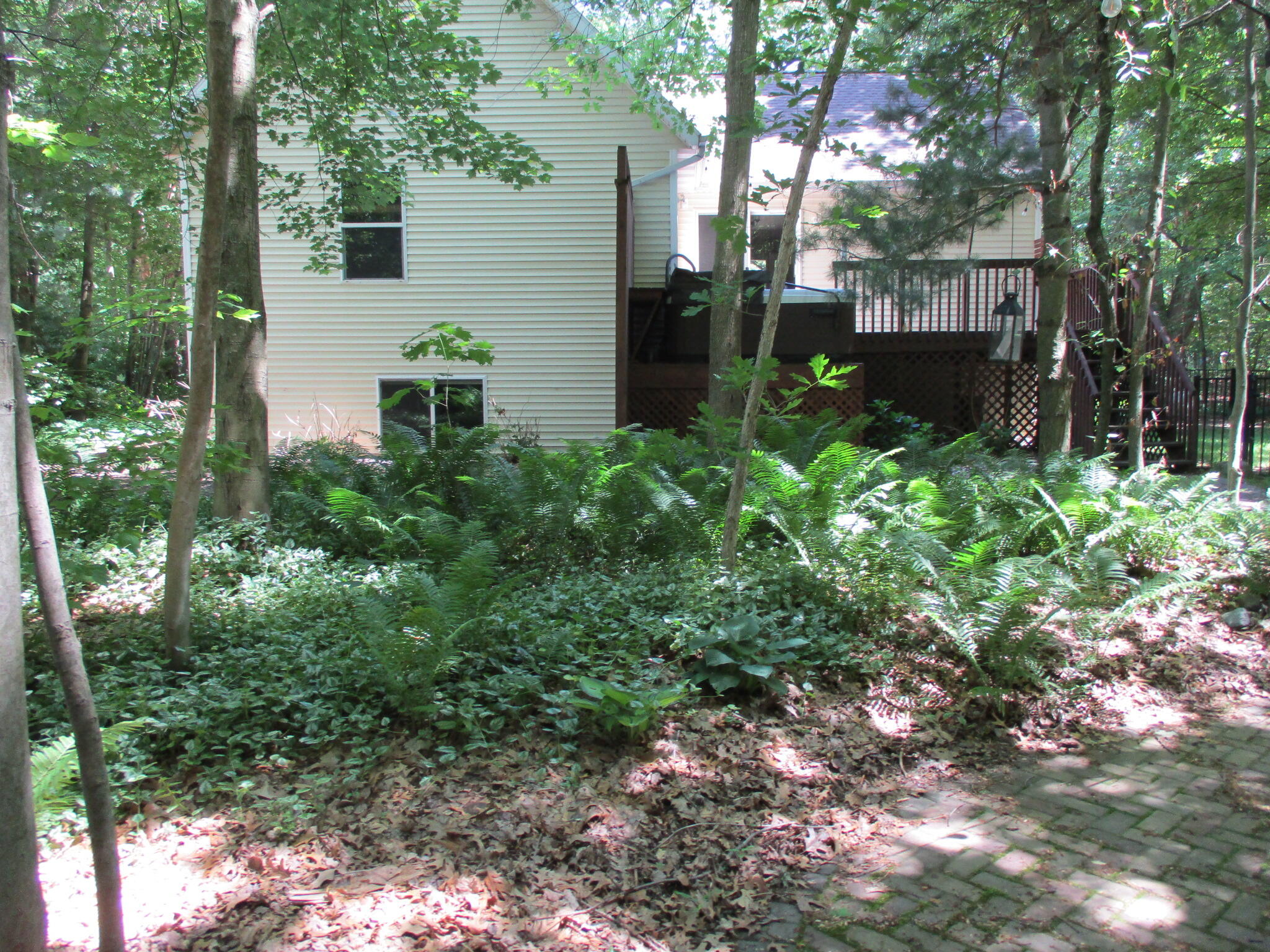 6417 Ototeman Trail Saugatuck MI 49453