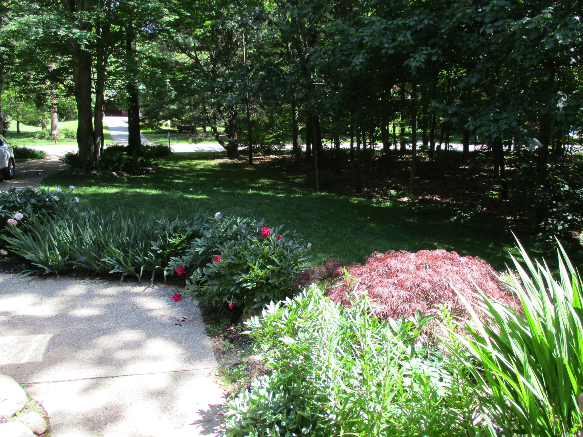 6417 Ototeman Trail Saugatuck MI 49453