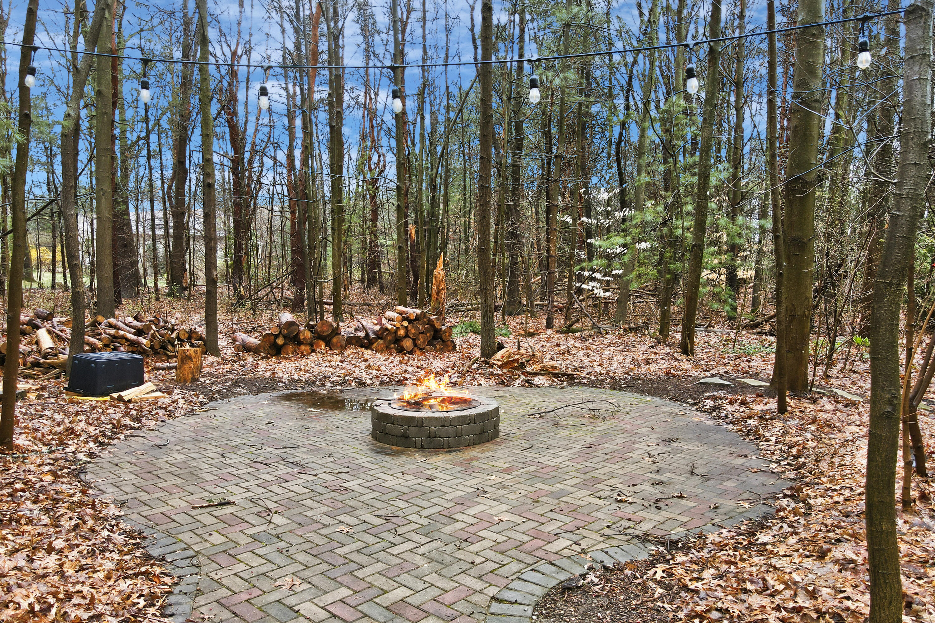 6417 Ototeman Trail Saugatuck MI 49453