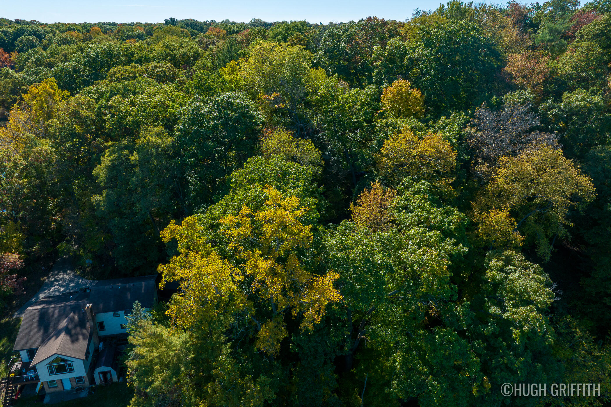 6811 Burger Drive SE Grand Rapids MI 49546