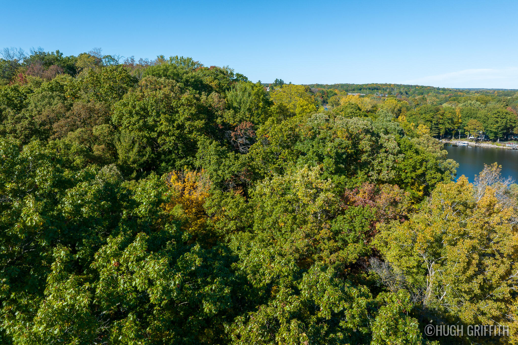 6811 Burger Drive SE Grand Rapids MI 49546