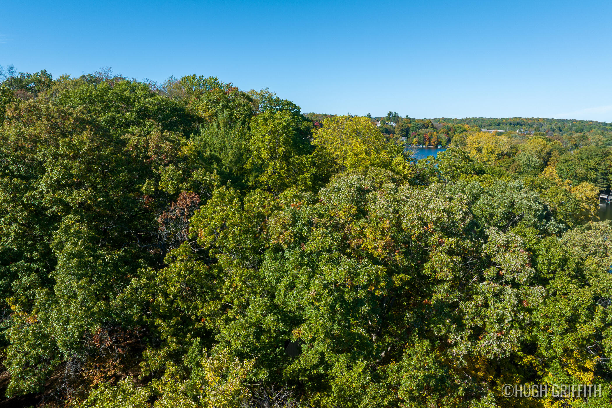 6811 Burger Drive SE Grand Rapids MI 49546