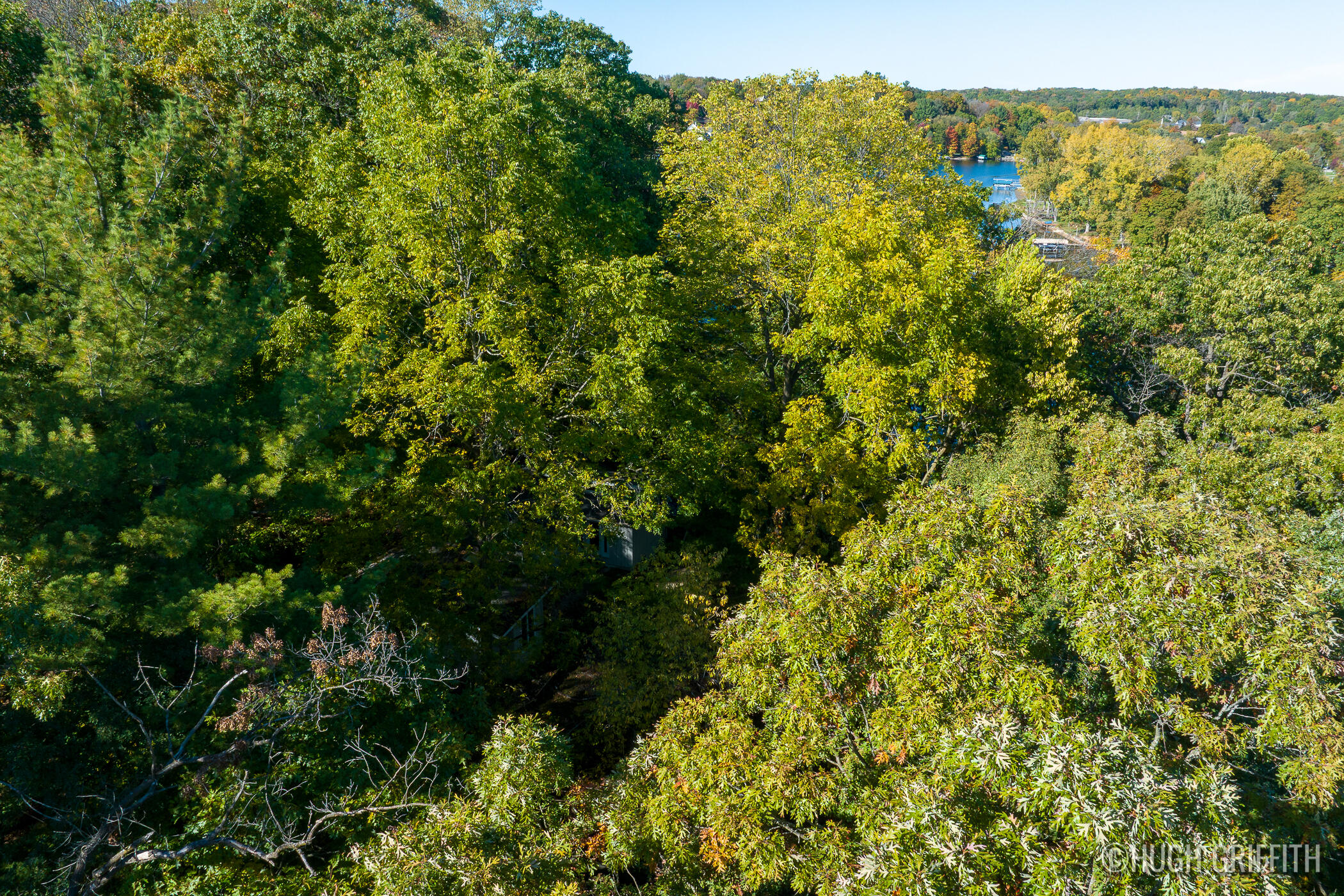 6811 Burger Drive SE Grand Rapids MI 49546