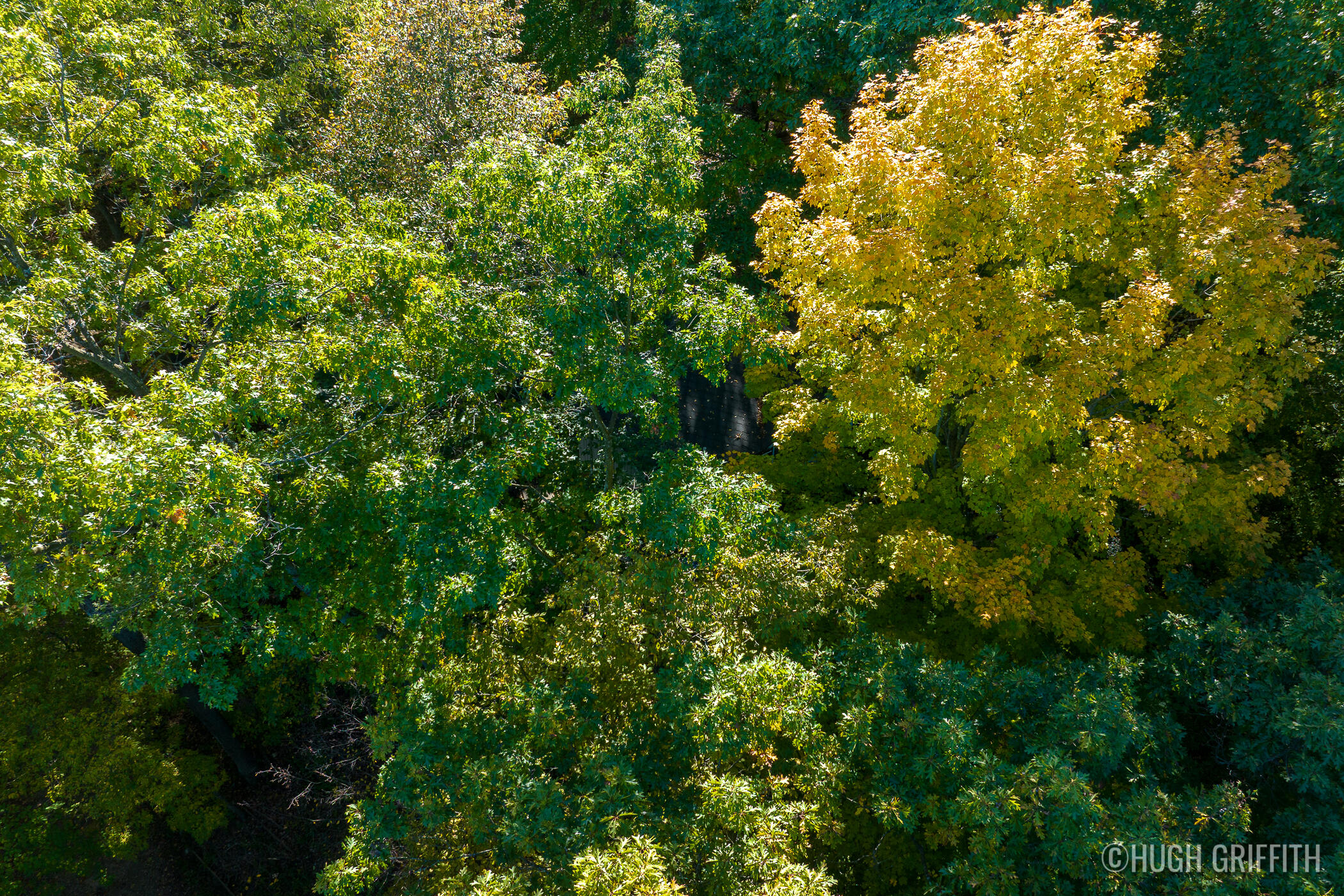 6811 Burger Drive SE Grand Rapids MI 49546