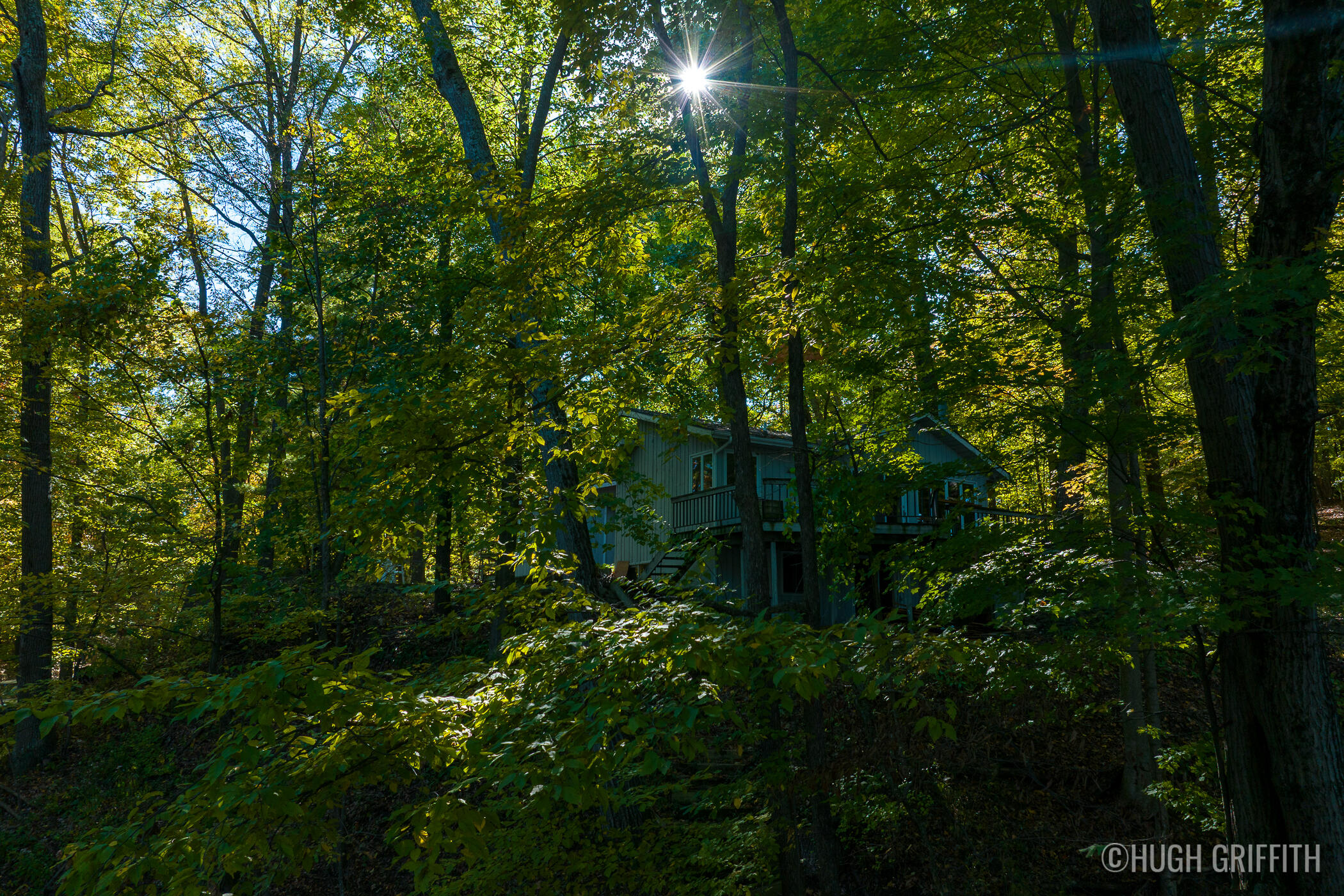 6811 Burger Drive SE Grand Rapids MI 49546