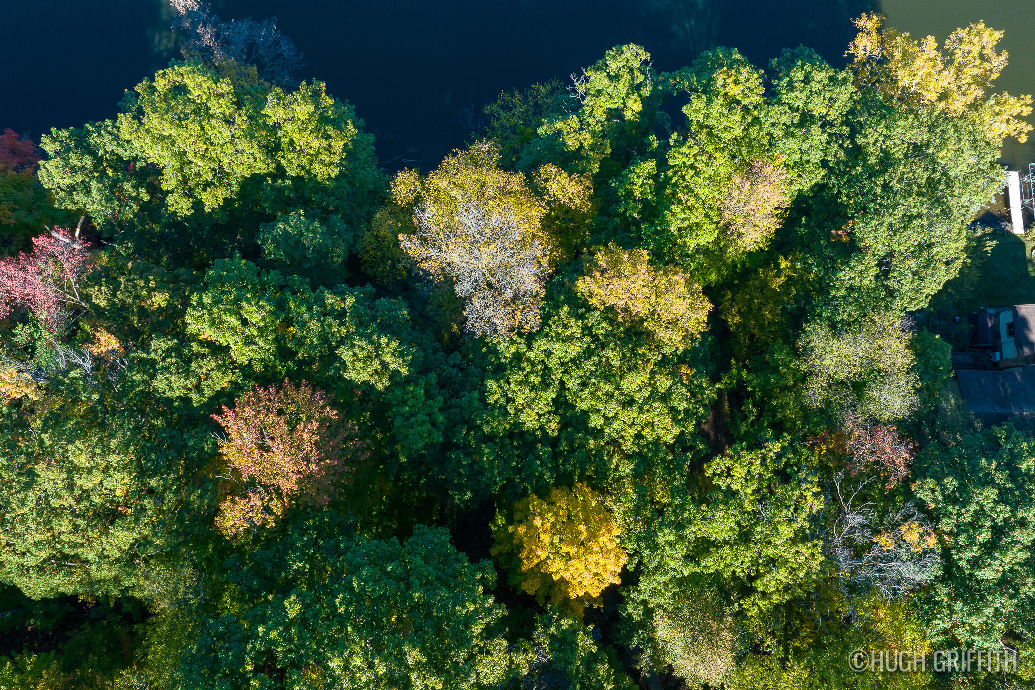 6811 Burger Drive SE Grand Rapids MI 49546