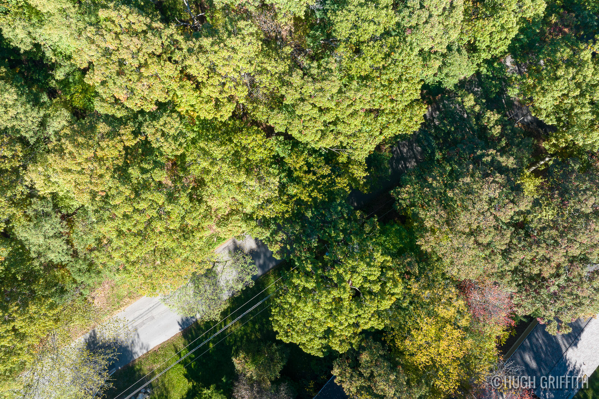 6811 Burger Drive SE Grand Rapids MI 49546