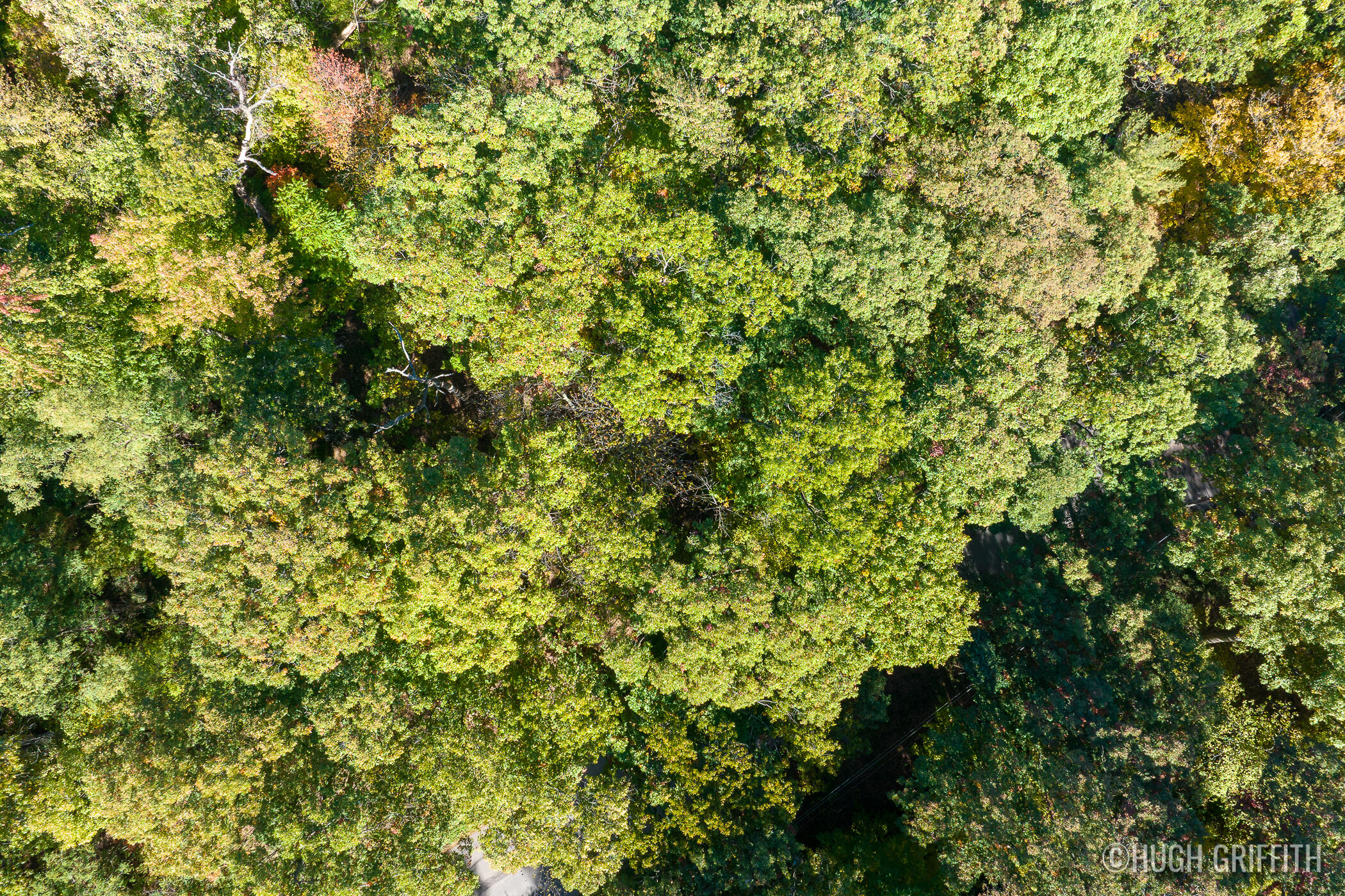 6811 Burger Drive SE Grand Rapids MI 49546