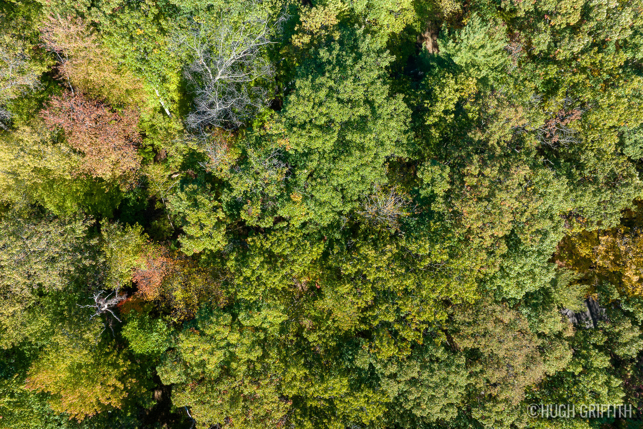 6811 Burger Drive SE Grand Rapids MI 49546