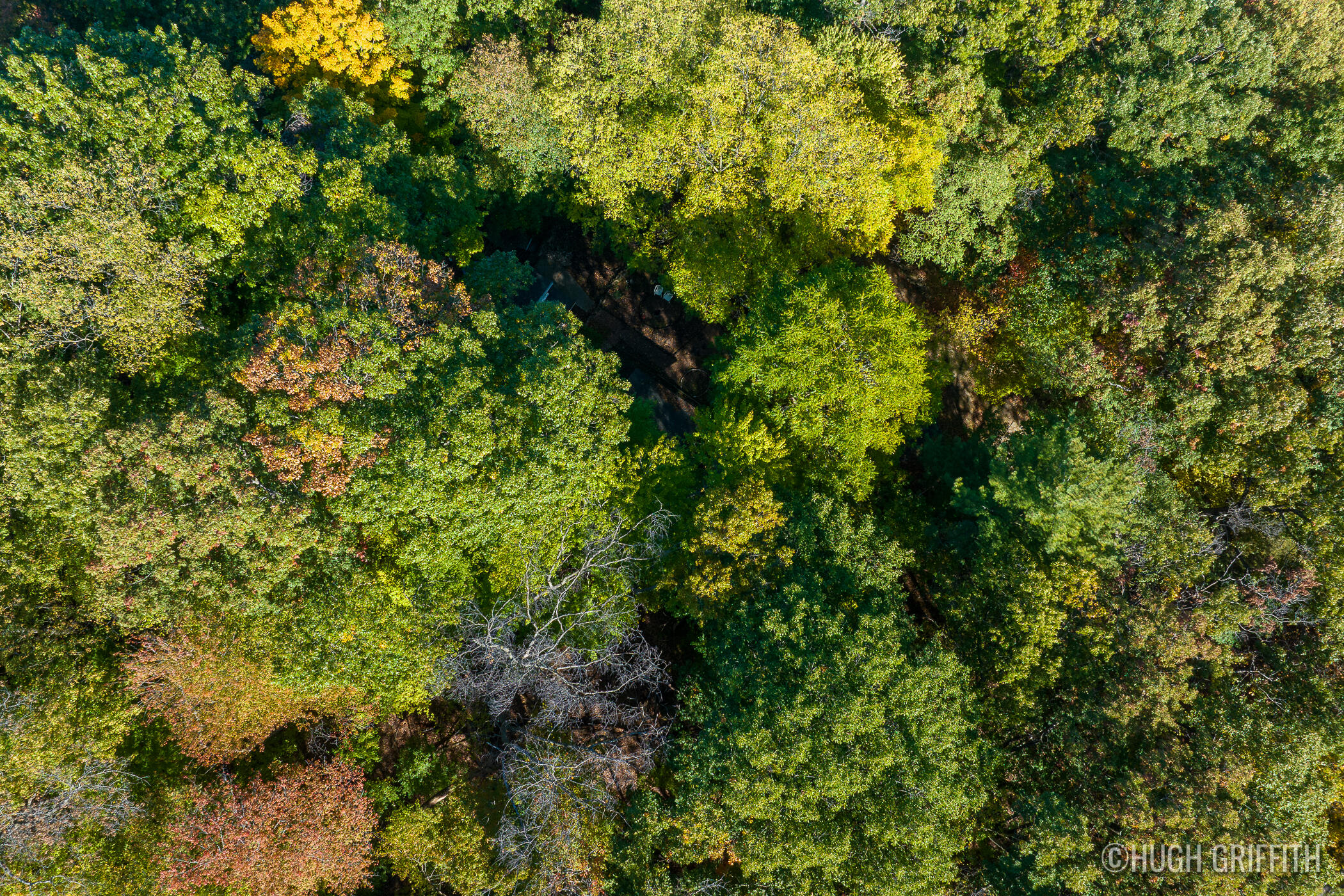 6811 Burger Drive SE Grand Rapids MI 49546