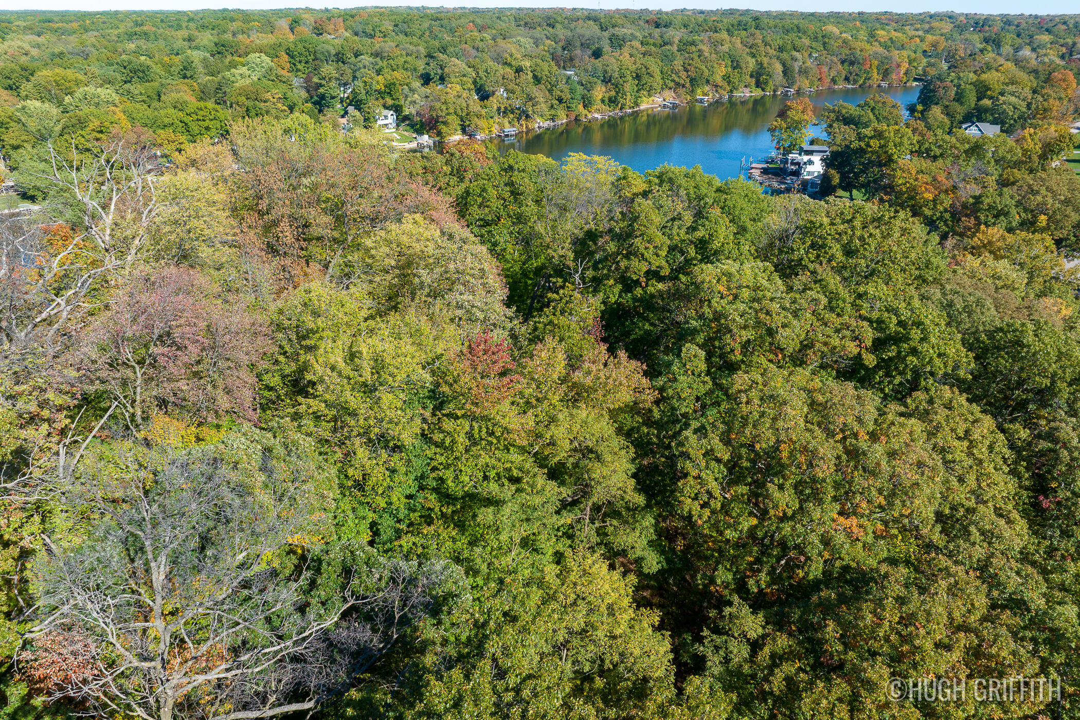 6811 Burger Drive SE Grand Rapids MI 49546