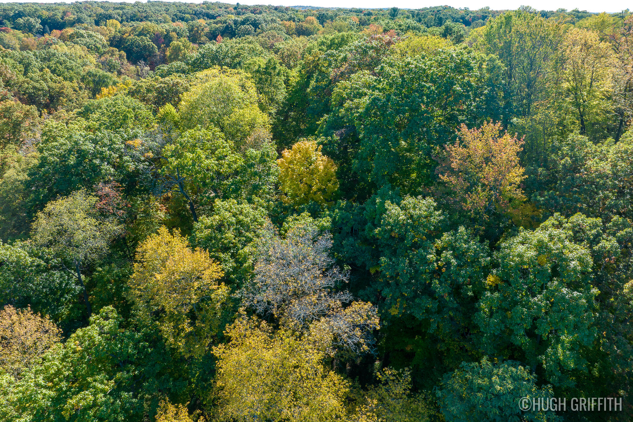 6811 Burger Drive SE Grand Rapids MI 49546