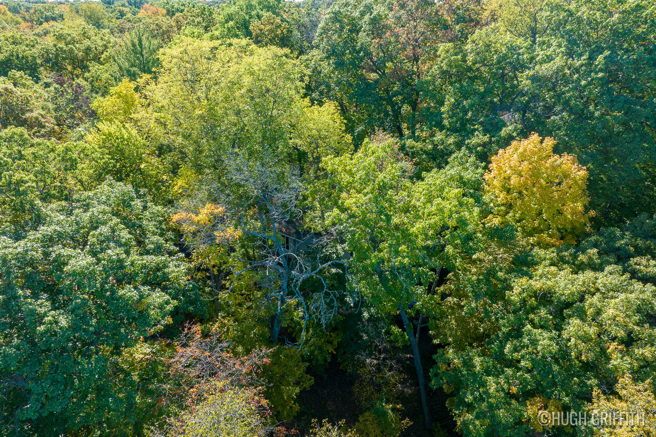 6811 Burger Drive SE Grand Rapids MI 49546