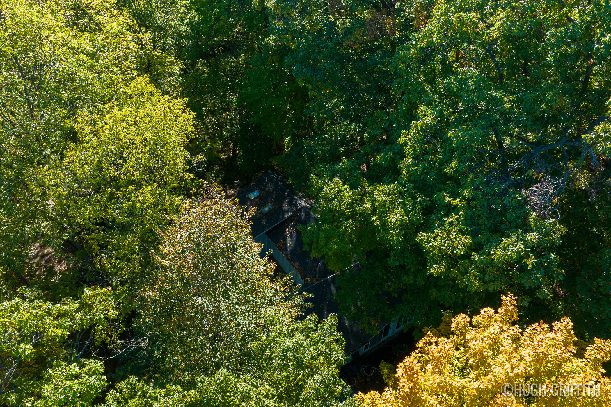 6811 Burger Drive SE Grand Rapids MI 49546