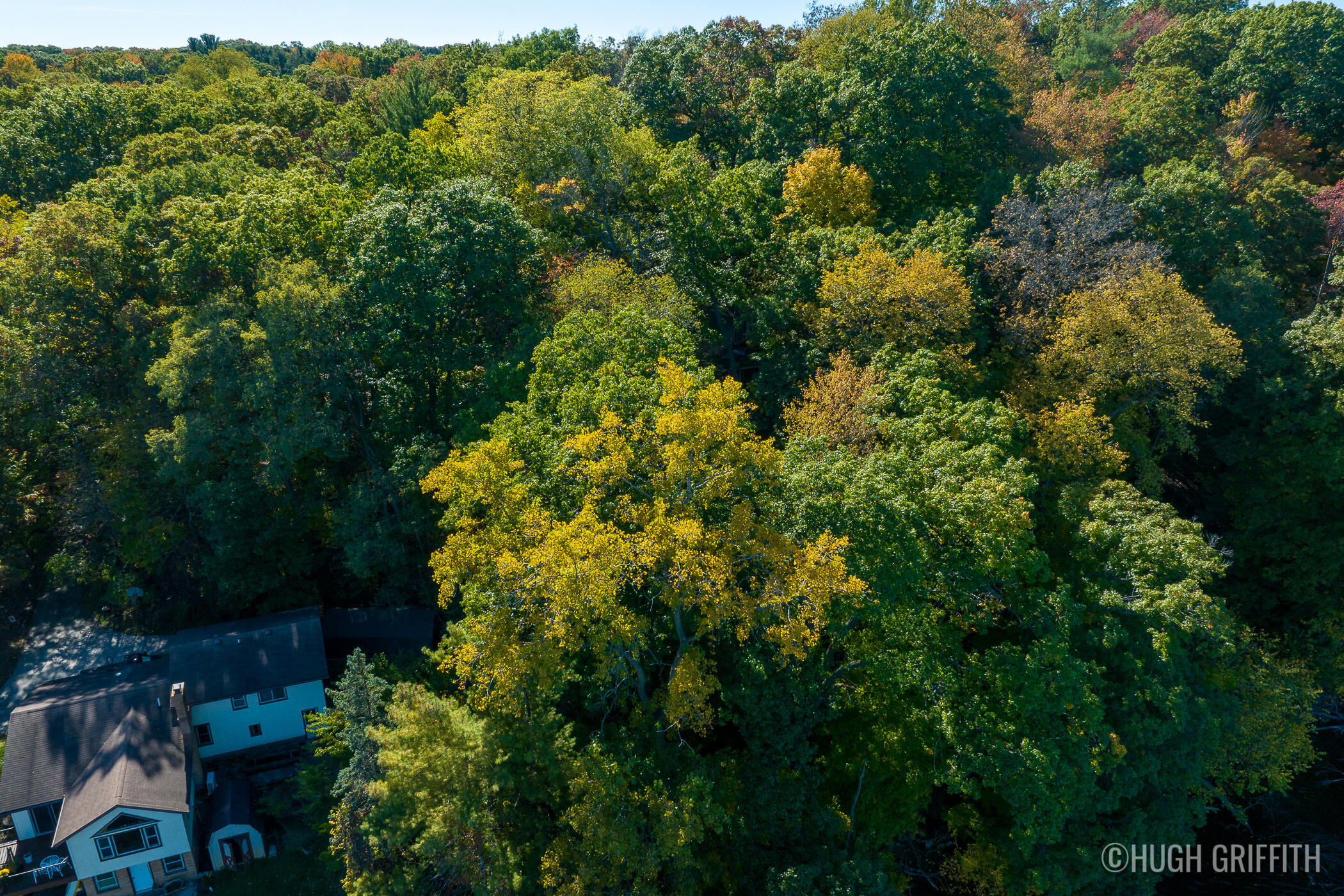 6811 Burger Drive SE Grand Rapids MI 49546