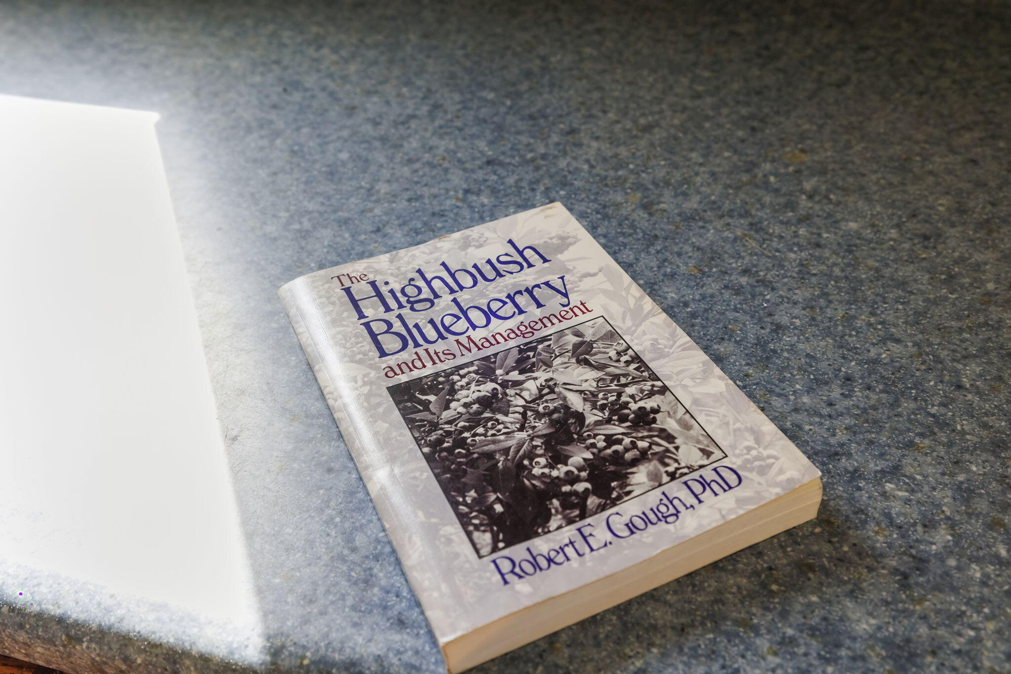 11160 Farina Road New Buffalo MI 49117