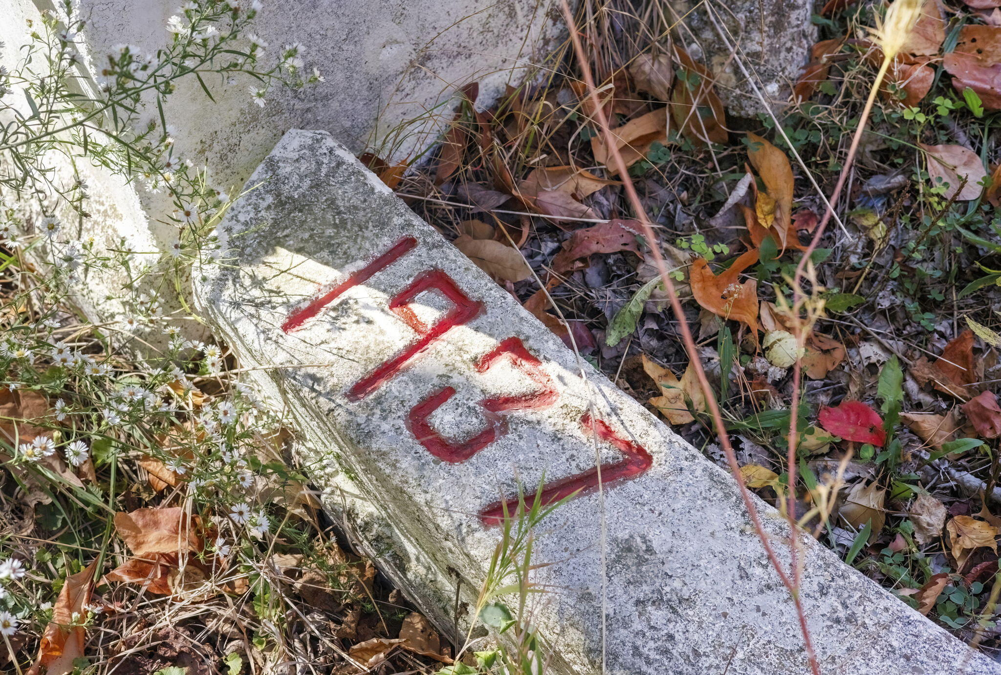 11160 Farina Road New Buffalo MI 49117