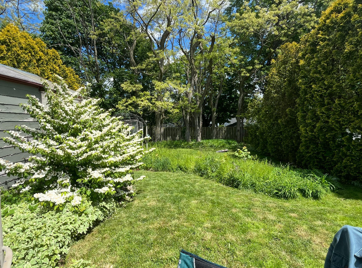 1228 Spring Avenue NE Grand Rapids MI 49505