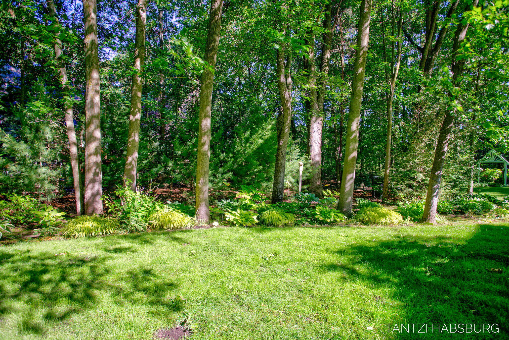 466 Trail Head Drive Holland MI 49424