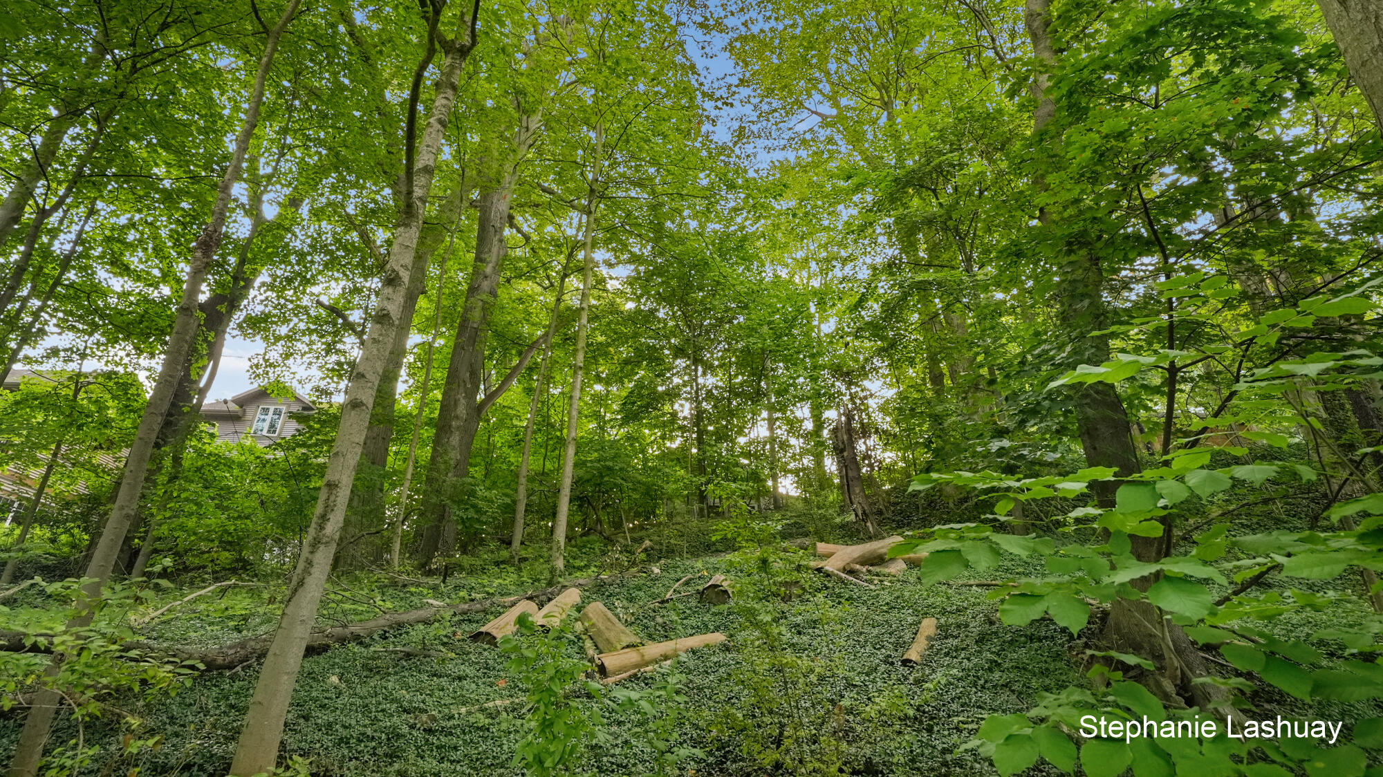 450 Culver Street Saugatuck MI 49453