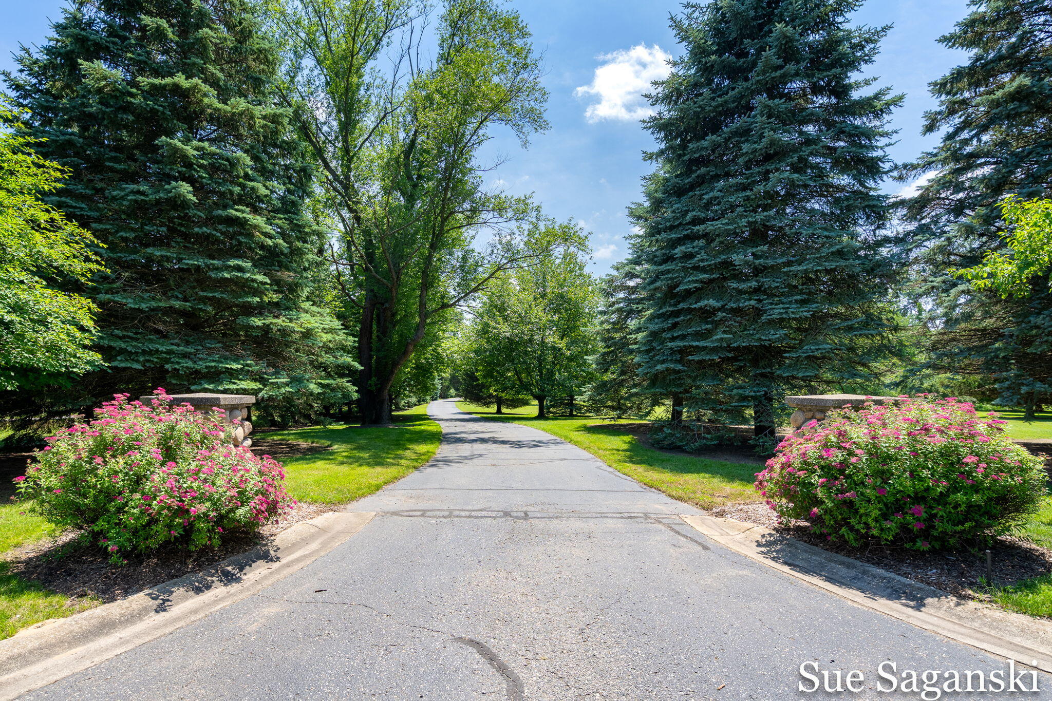 6514 Creekwood Drive Holland MI 49423