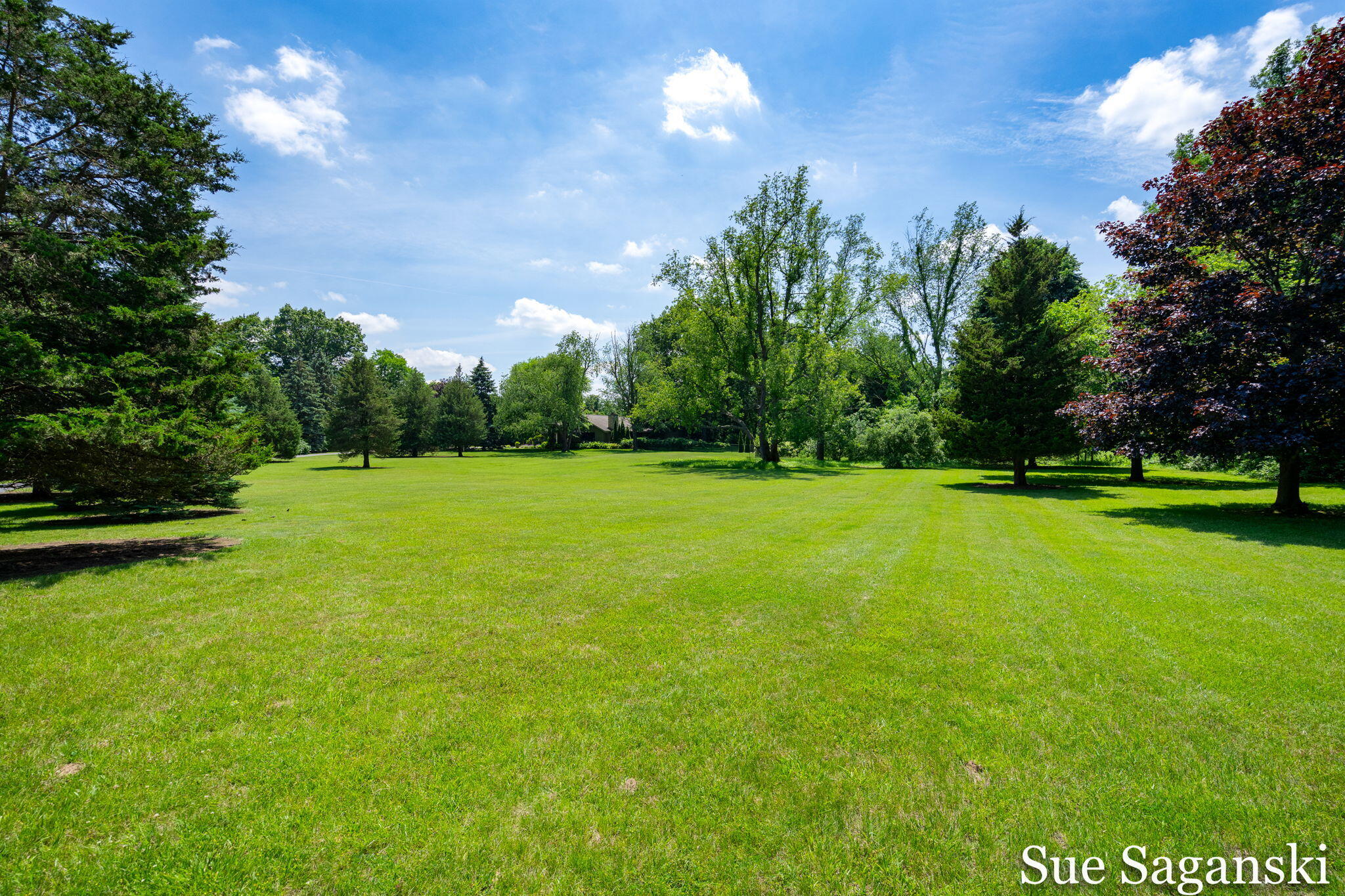6514 Creekwood Drive Holland MI 49423