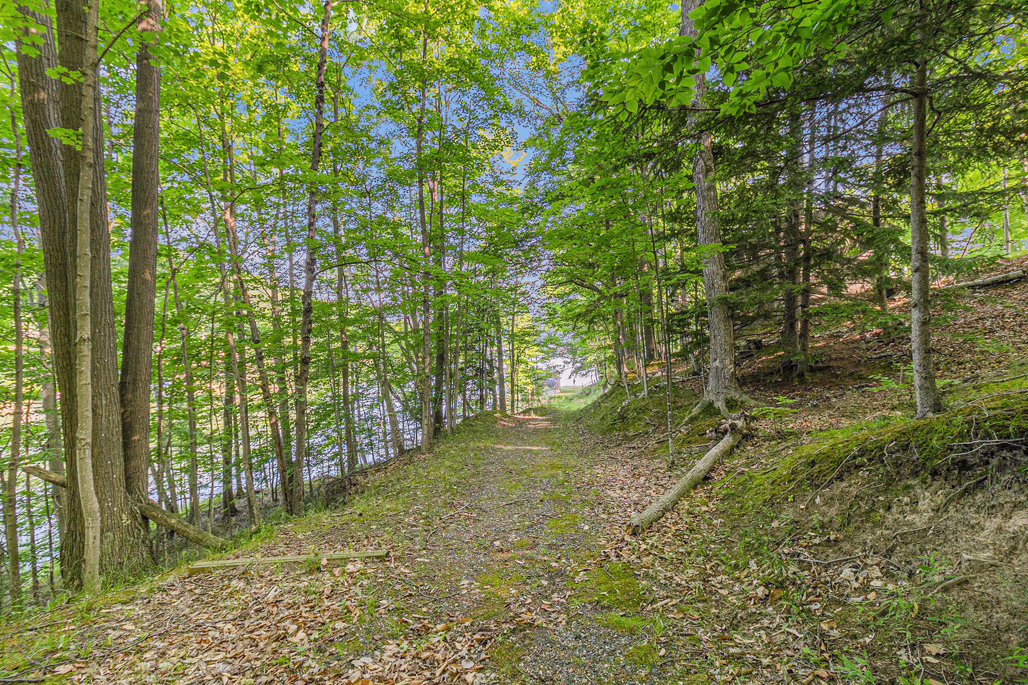 6253 Loggers Lane Ludington MI 49431