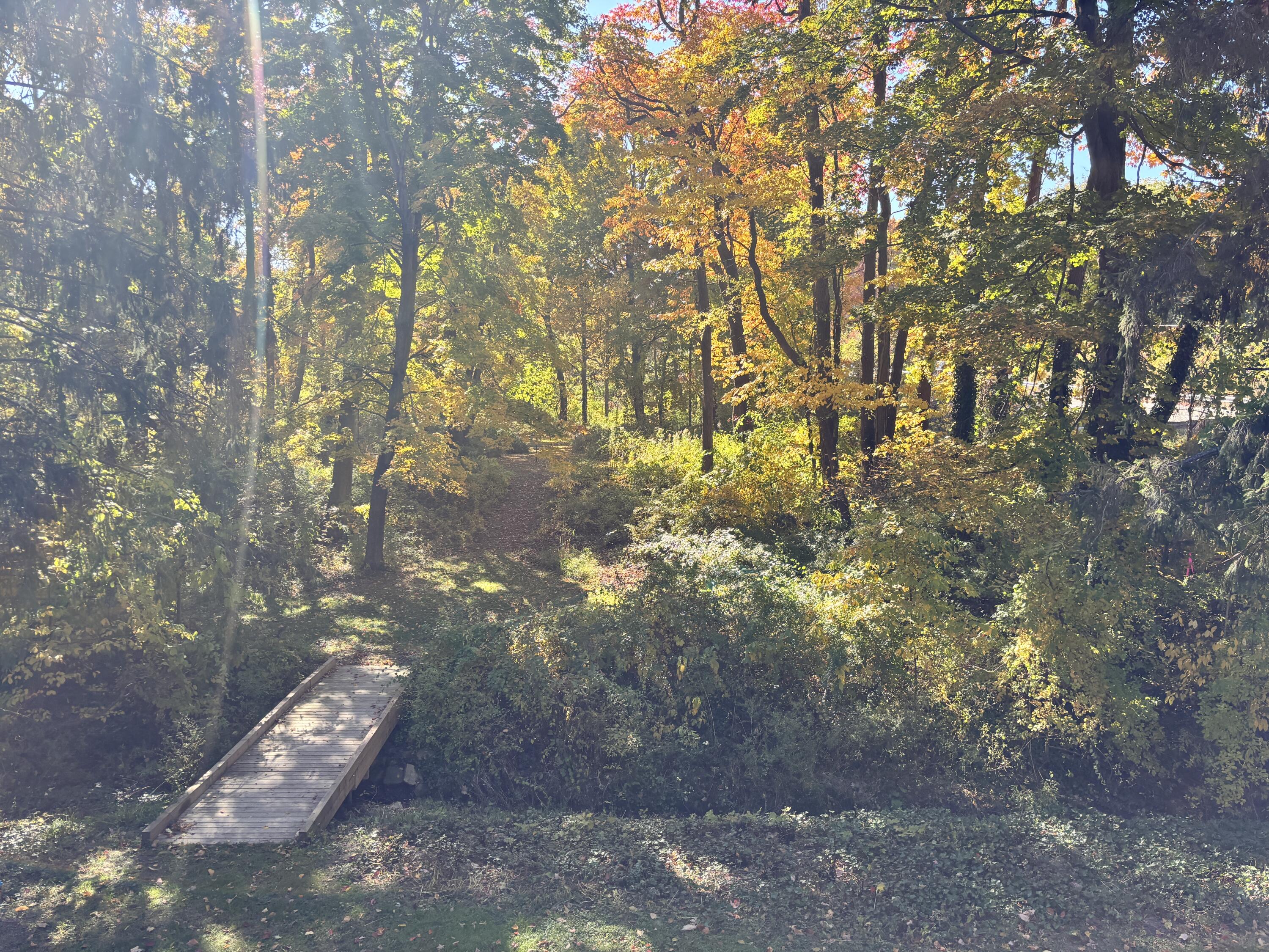 2878 W Bundy Road Coloma MI 49038