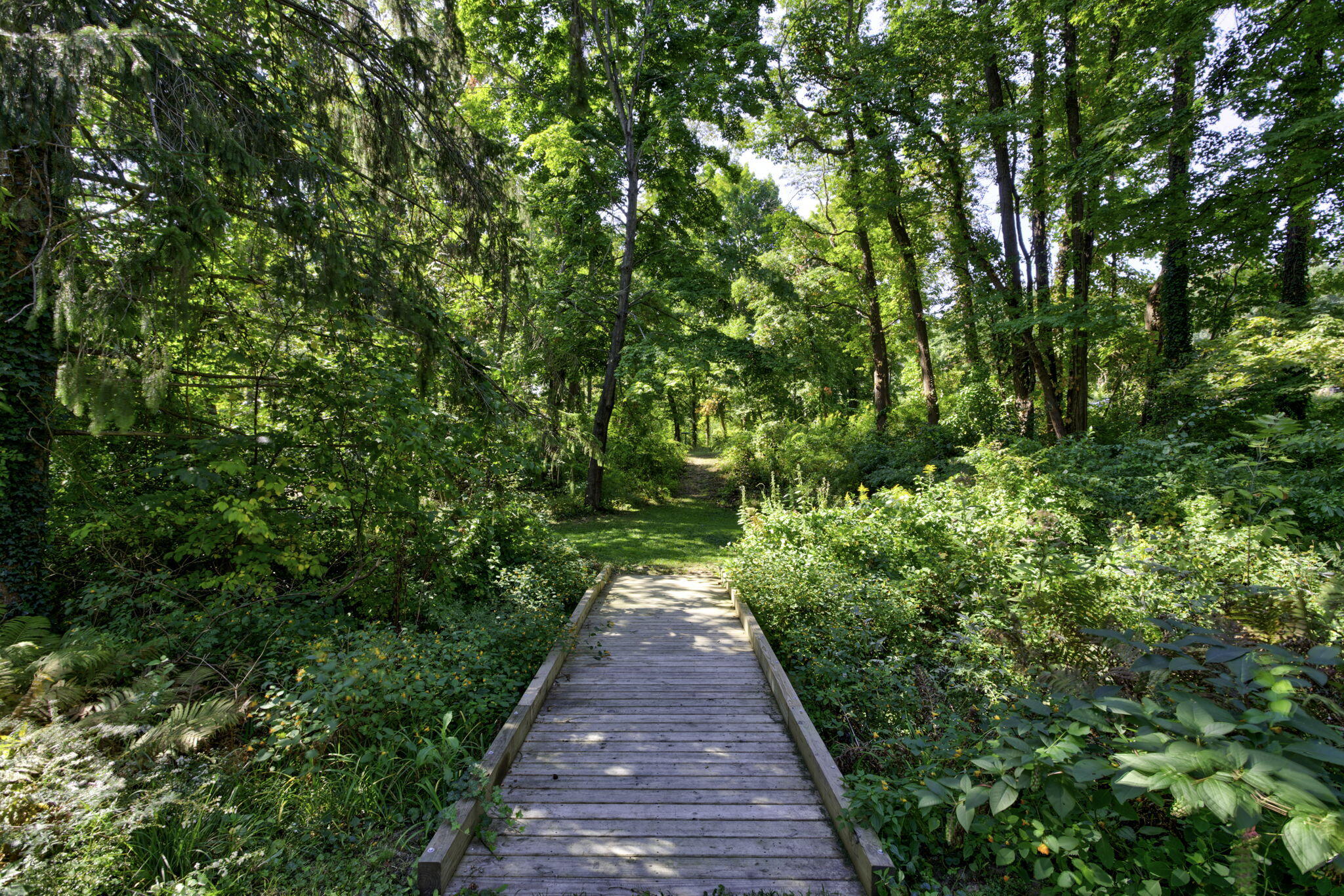 2878 W Bundy Road Coloma MI 49038