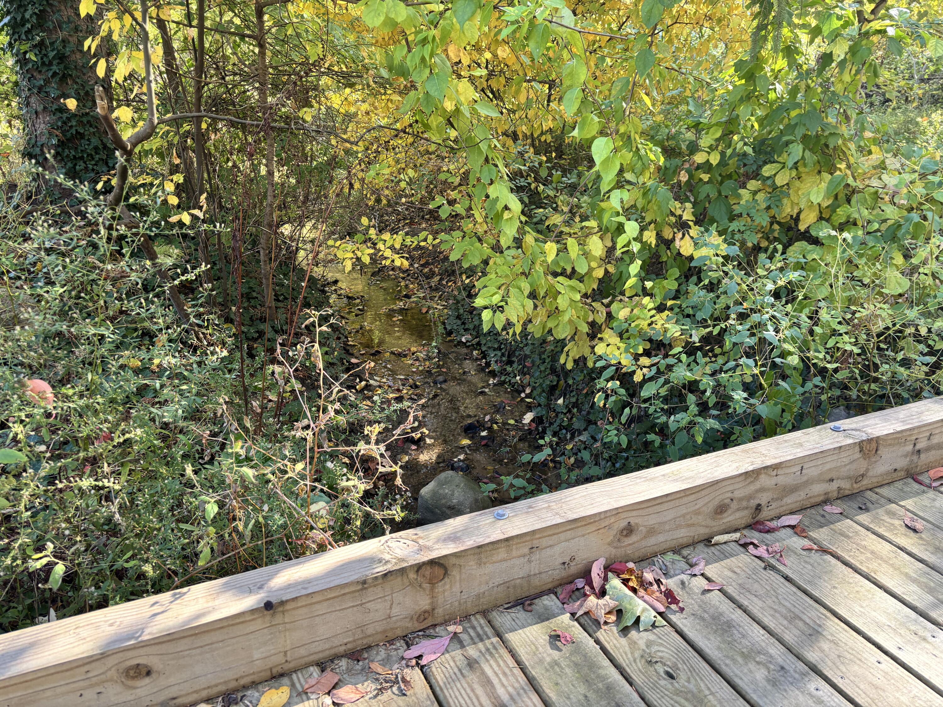 2878 W Bundy Road Coloma MI 49038