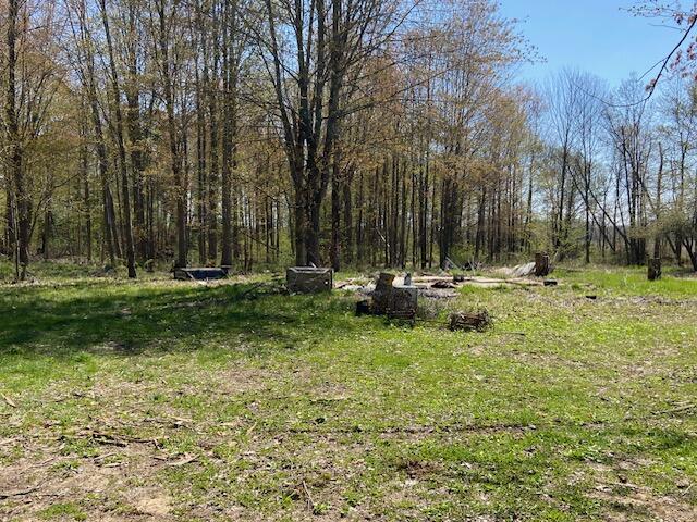1139 59th Street Grand Junction MI 49056