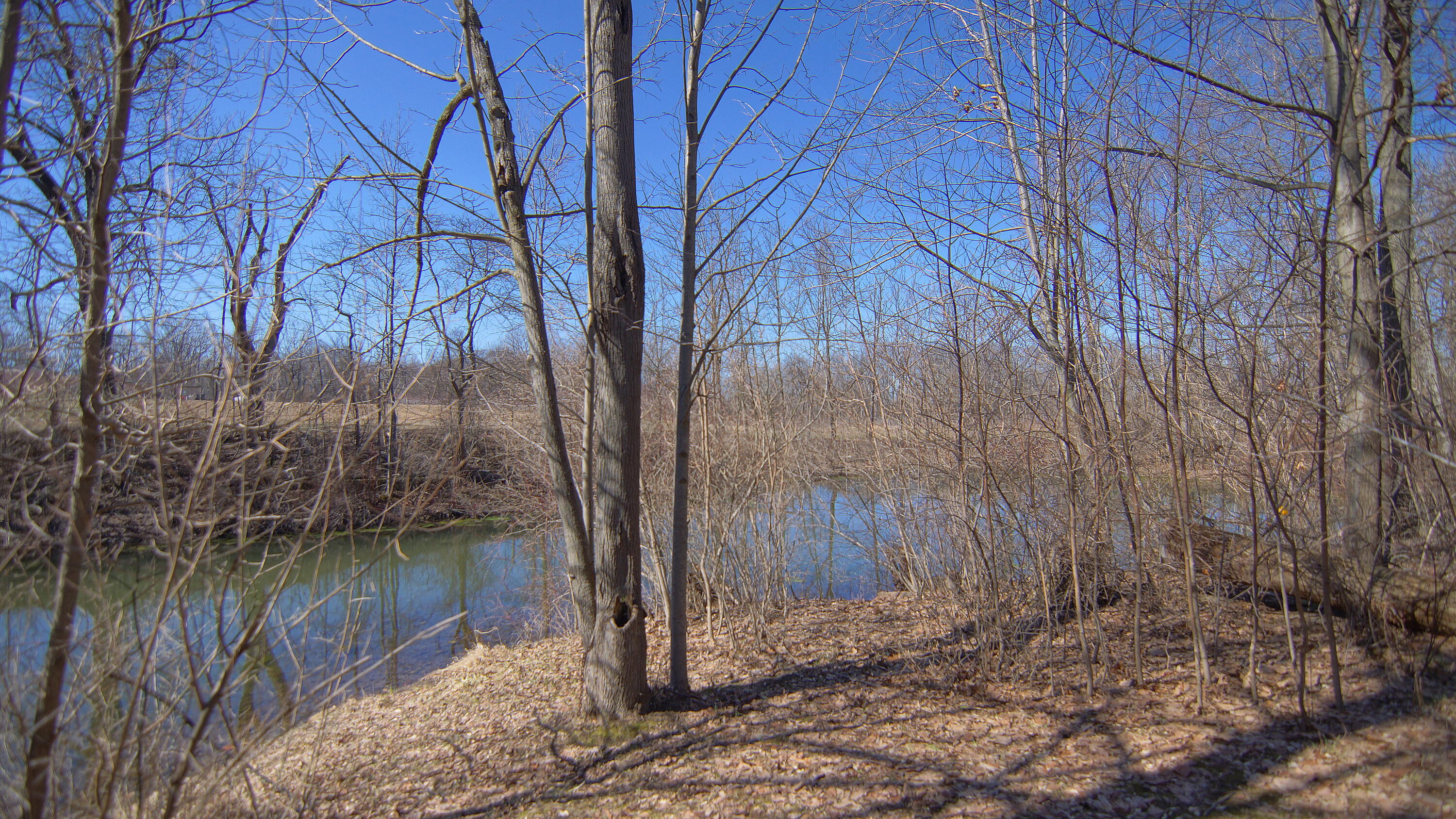 4033 Schmuhl Road Benton Harbor MI 49022